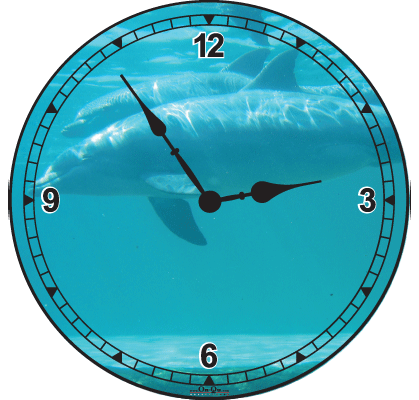 Dolphin Clock