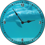 Dolphin Clock