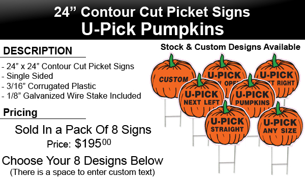 Pumpkin Cutout